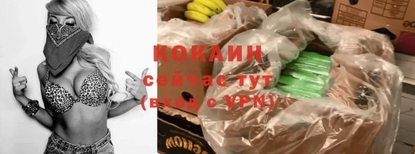 тгк Новодвинск