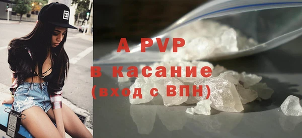 тгк Новодвинск