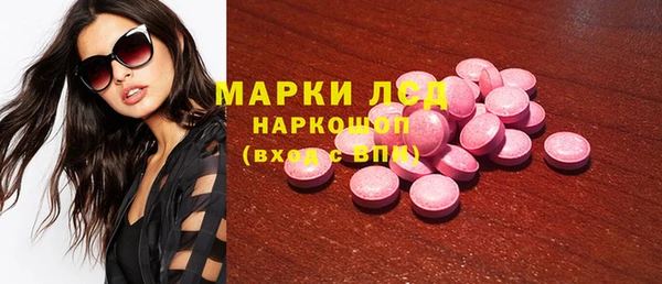 тгк Новодвинск