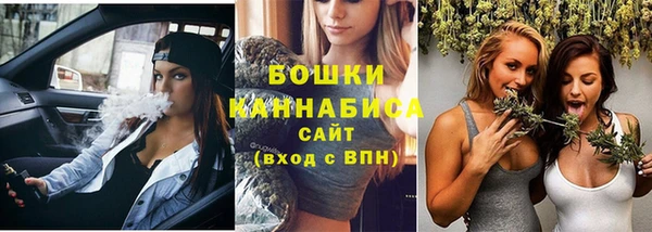 тгк Новодвинск
