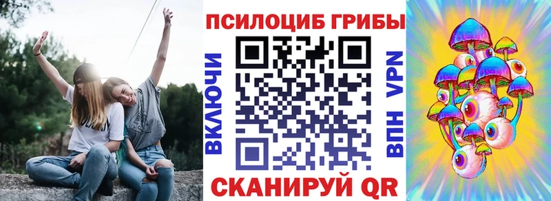 Купить закладки Дудинка Псилоцибиновые грибы прущие грибы